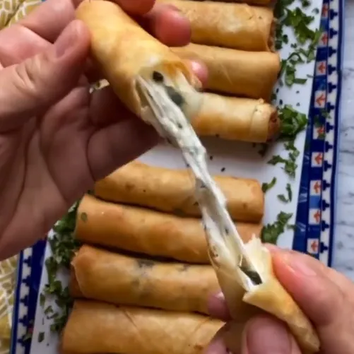 Chichen Cheese spring roll